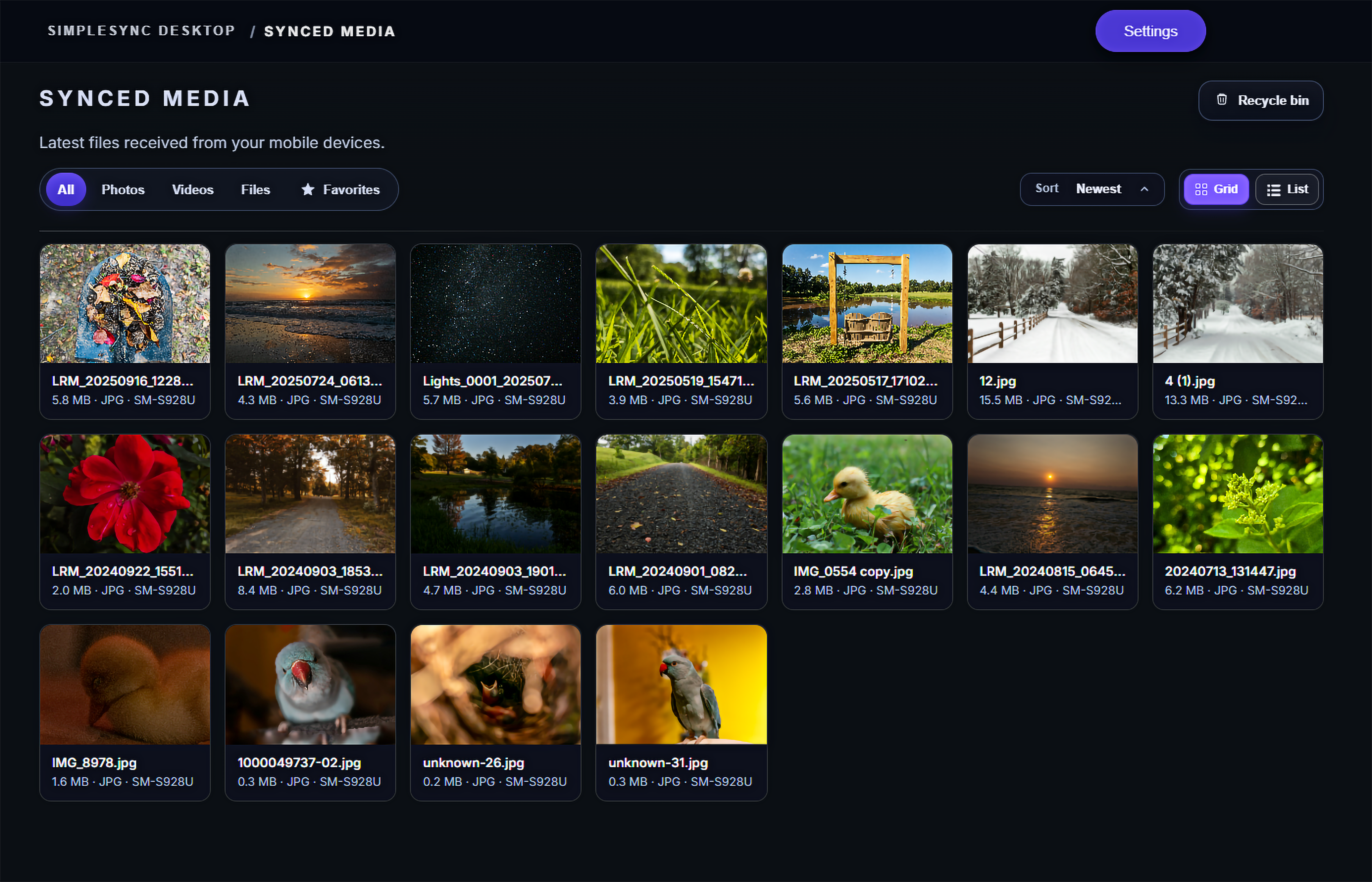 Simplesync app interface
